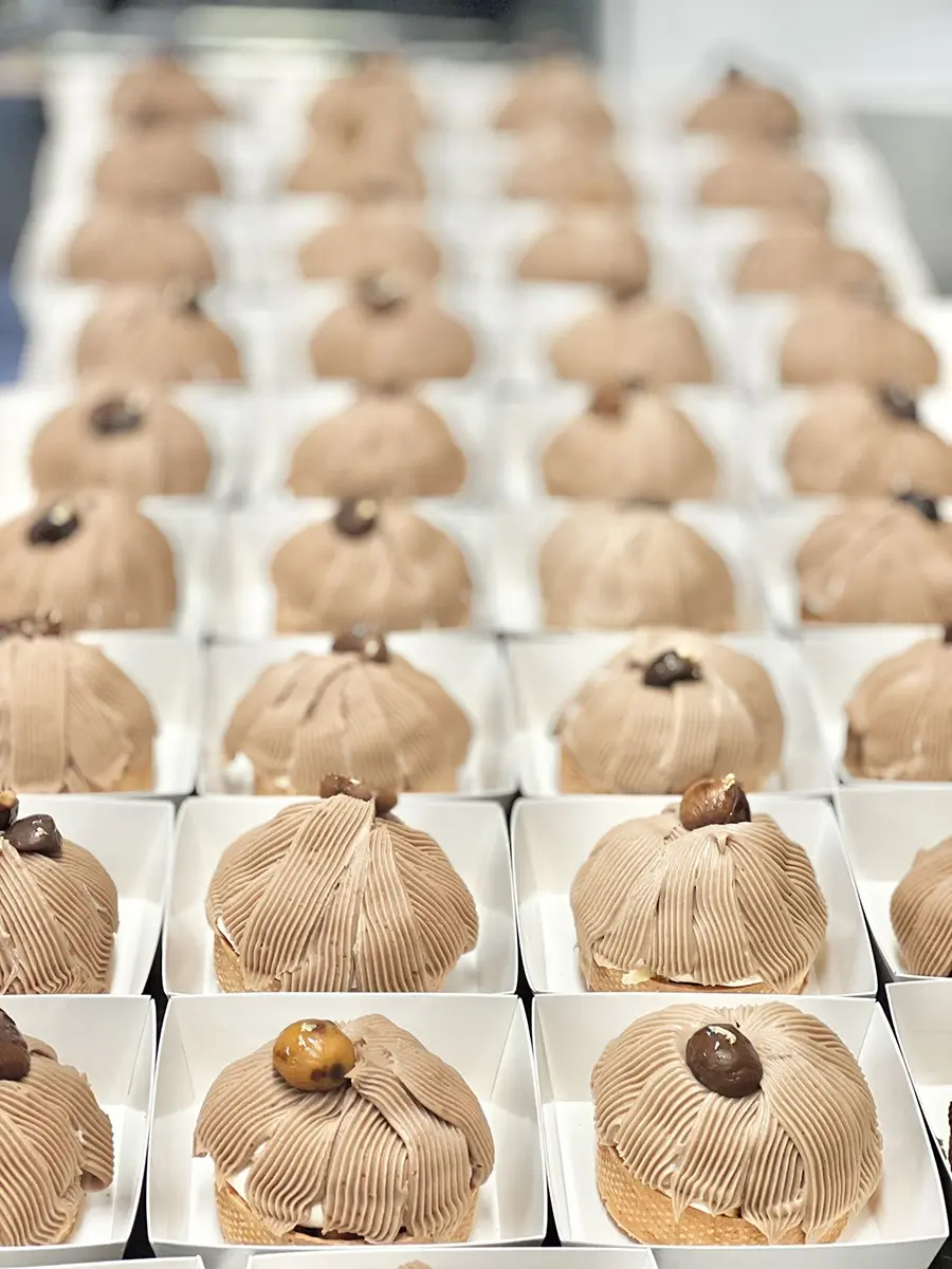 Rows of Chocolate Hazelnut Mini Cakes in White Trays at Cakeposer，a Bakery in Paoli
