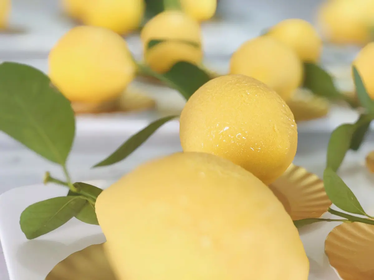 Very Lemon Mousse at Cakeposer，a Bakery in Paoli